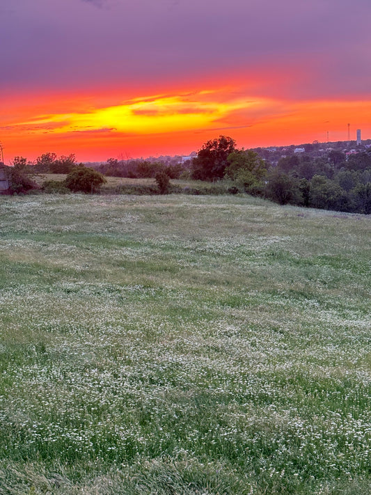 Natura, regizorul vietii noastre