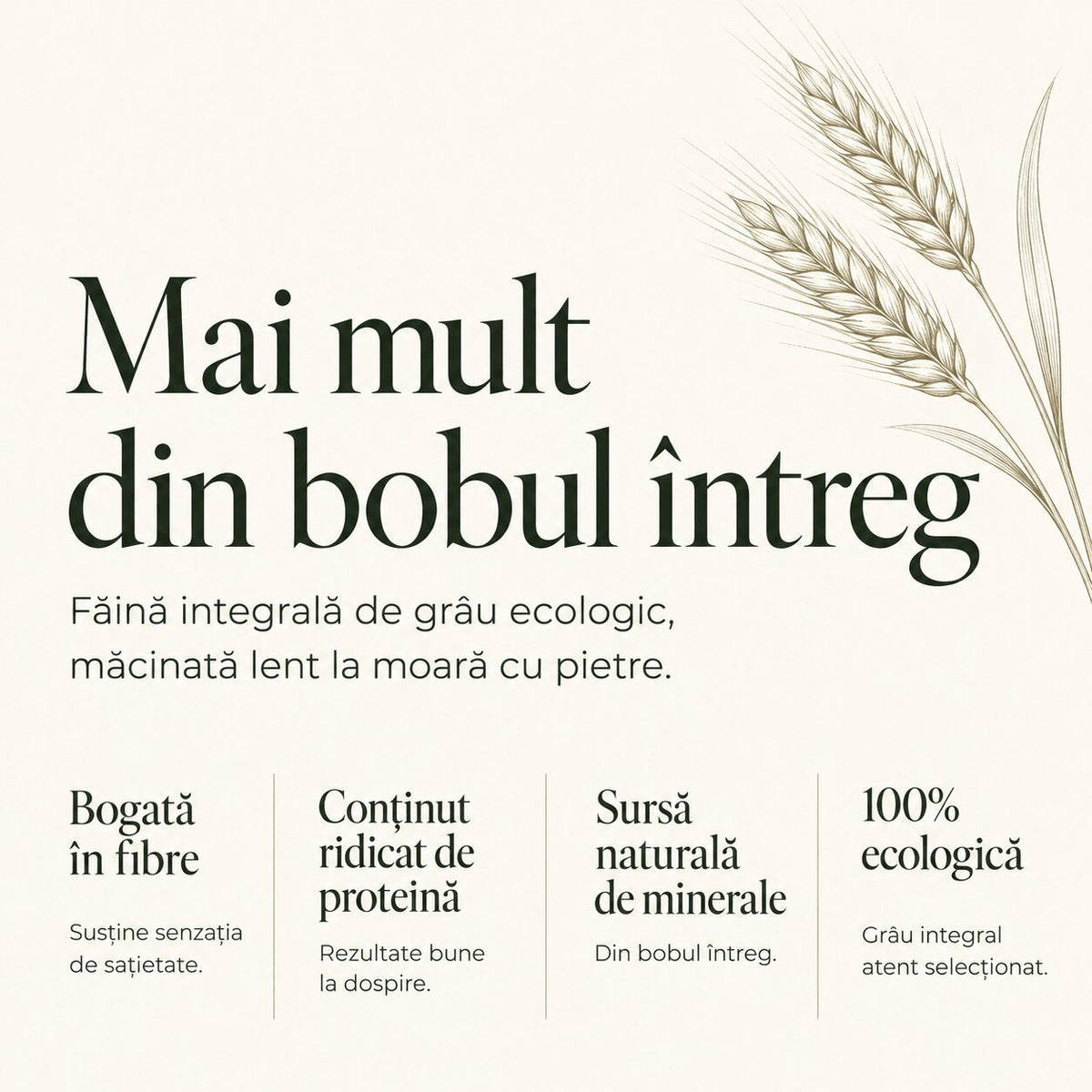 Făină integrală de grâu bio, măcinată la moară cu pietre 1Kg